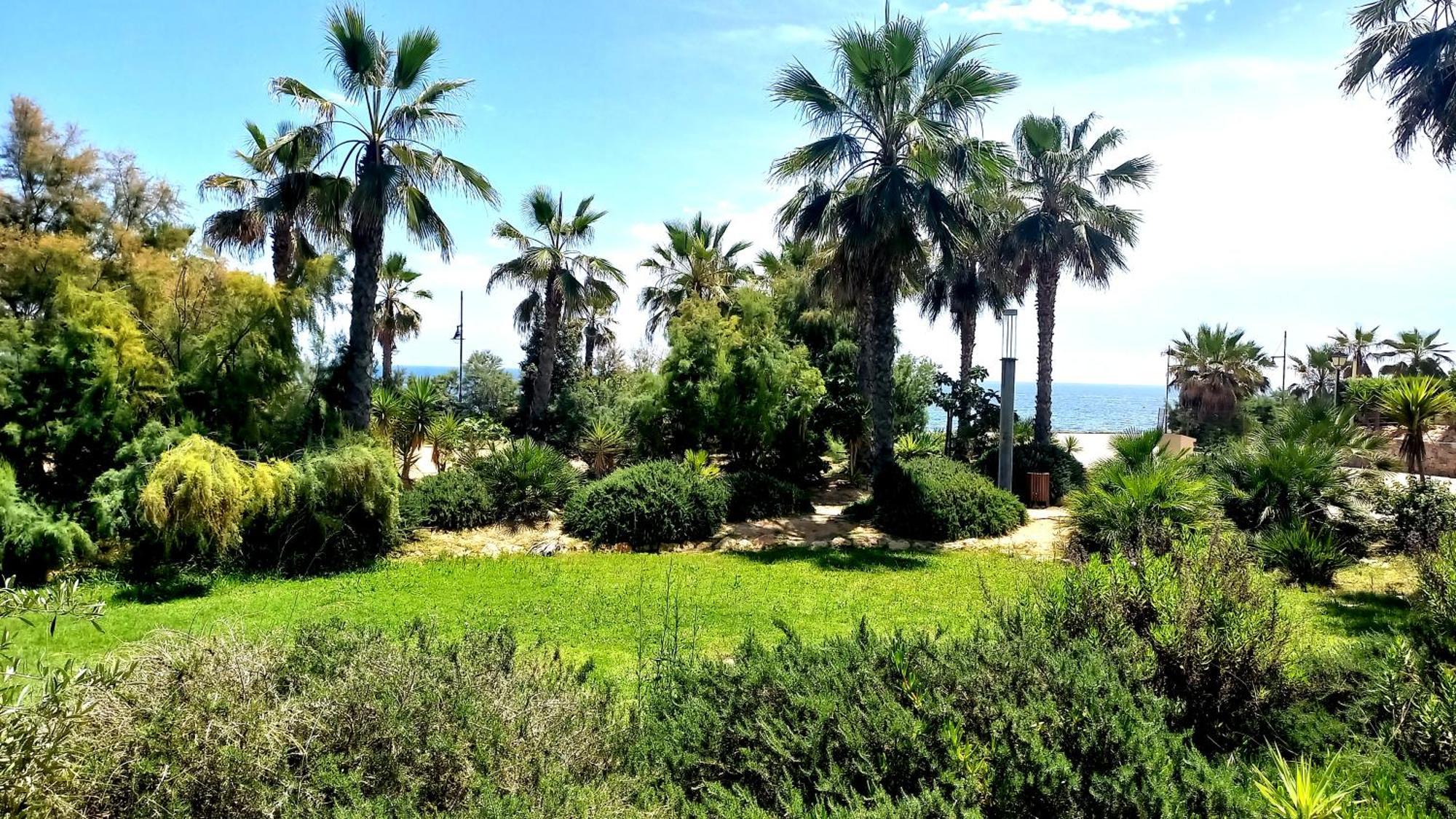 Punta Prima Torrevieja Fantazy01 Leilighet Eksteriør bilde