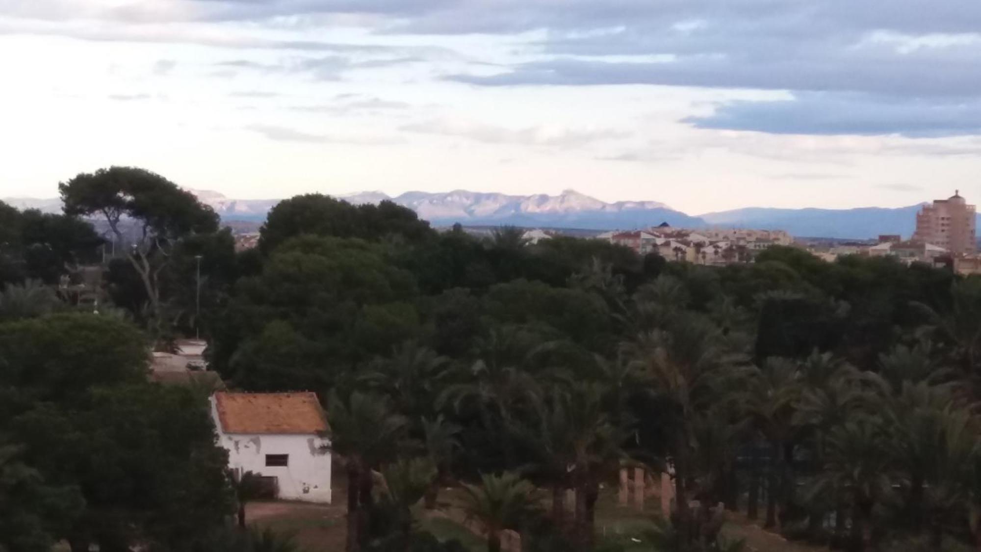 Punta Prima Torrevieja Fantazy01 Leilighet Eksteriør bilde